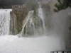 IMG 0310