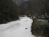 IMG 0319